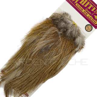 Whiting Bronze Pardo Saddle Ginger