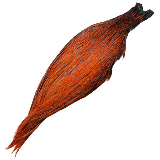 DEVAUX G3 Ginger Cock Necks