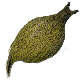 DEVAUX G3 Grizzly Olive Cock Necks