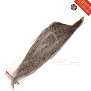 1/2 colli di gallo WHITING bronze grigio