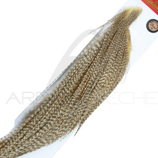 1/2 rooster necks WHITING bronze Dun Grizzly