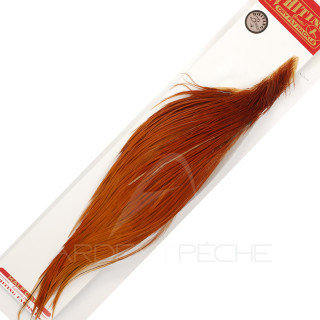 1/2 colli di gallo WHITING bronze rossiccio
