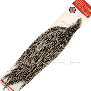 1/2 colli di gallo WHITING bronze grizzly