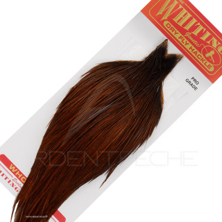 Colli di gallo WHITING Pro grade tinto coachman