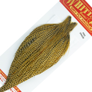 Colli di gallo WHITING Pro grade Cree