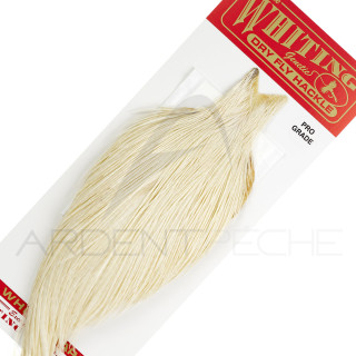 Collo di gallo WHITING Pro grade Bianco