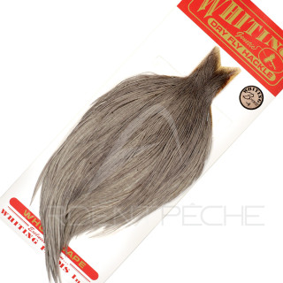Colli di gallo WHITING bronze grigio