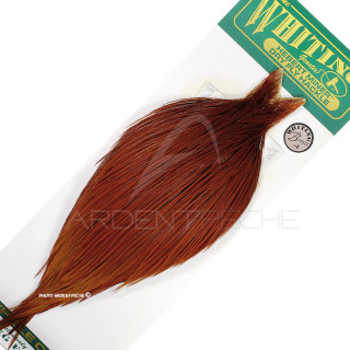 Colli di gallo WHITING HEBERT bronze naturale rossiccio