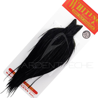 WHITING Bronze Black Cock Capes - Ardent Fly Fishing