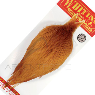 Colli di gallo WHITING bronze rossiccio - Ardent Fly Fishing