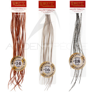 Piume di Saddle WHITING 100