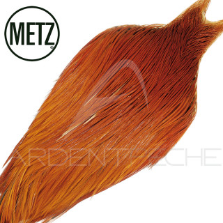 METZ Grade 2 Rooster Necks