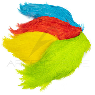 Collo di gallo tinto (rooster neck)