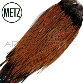 Cock saddle METZ grade 2