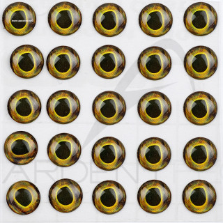 3D Holographic Eyes AD Summer