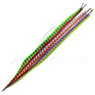 Fashion Stream DEVAUX Assortment