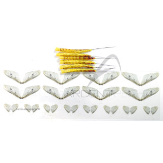 Kit montaggio efemera Danica realistiche giallo