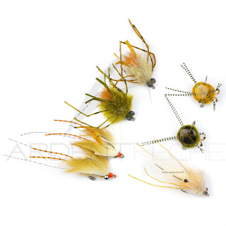 RIO Fly Permit Assortment