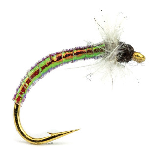 DEVAUX Fly Chironomid JBC5