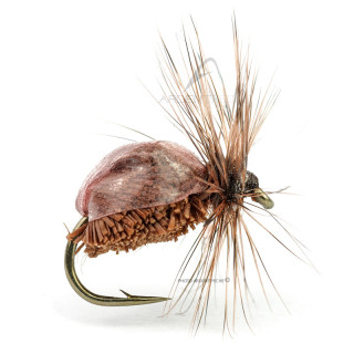 DEVAUX Fly Terrestrial JBT 01