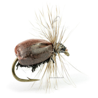 DEVAUX Fly Terrestrial JBT 03