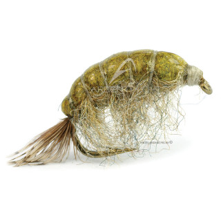 Mosca DEVAUX Gammaro JBG 05