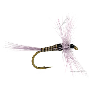 Mosca DEVAUX Secca AK5