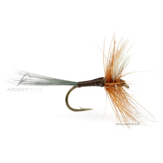 Mosca DEVAUX Secca 806