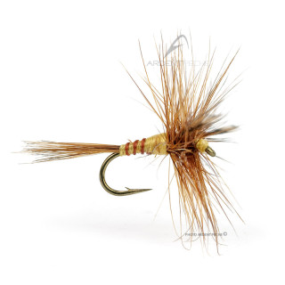 Mosca DEVAUX Secca 823