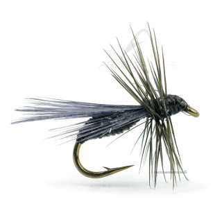 DEVAUX Terrestrial Ant Fly B527