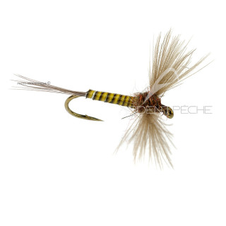 Mosca DEVAUX Spent JBS 02