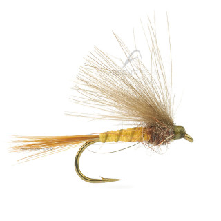 Mosca DEVAUX Emergente JBE 20