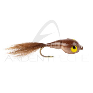 Realistic Brown Tadpole Fly