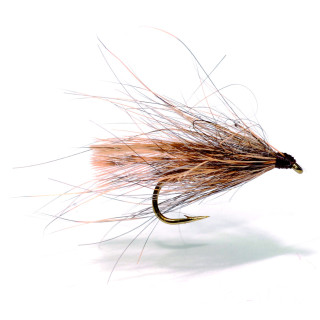 Mouche AB FLY Les Morlaisiennes SE BE L