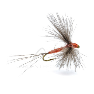 Mosca AB FLY Emergente SUB D OC