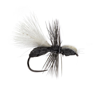 A.P. Fourmi CDC Fly