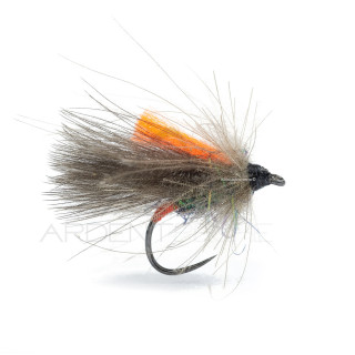 A.P. Bicho CDC Fly