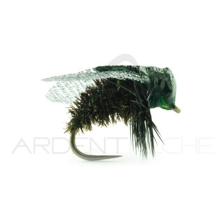 Mosca DEVAUX Terrestre MAV 01