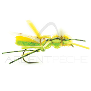 Mosca DEVAUX Terrestre Cavalletta SAUT 02
