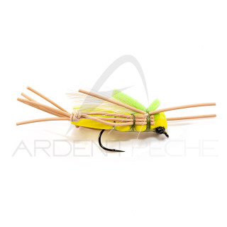 DEVAUX Fly Terrestrial Grasshopper SAUT 04