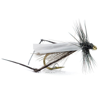 Fly AB FLY Diptera bibio