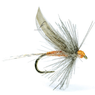 Fly AB FLY Ephemeral Subimagos Ornans Gold