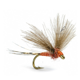 Mouche AB FLY Ephémères subimagos SUB RO