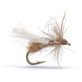 Mosca AB FLY Formica MC 4 MC4 F M TWCH