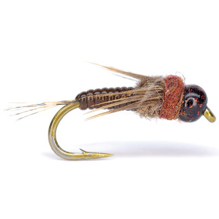 Mosca AB FLY ninfa C MM TG V M