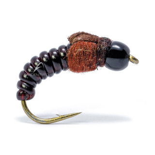 Fly AB FLY nymph CN TG LS M