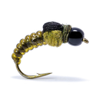 Fly AB FLY nymph CN TG LS OL