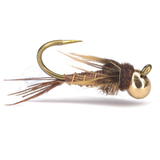 Mosca AB FLY ninfa PERDI L1 OR M
