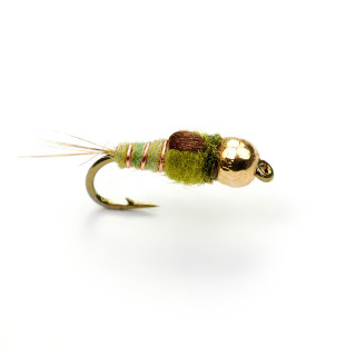 Mosca AB FLY Ninfe a ombre CO TG OLC