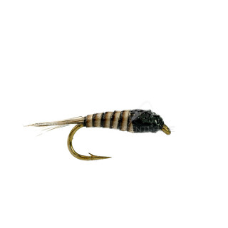 Mosca DEVAUX Ninfa JBN 32